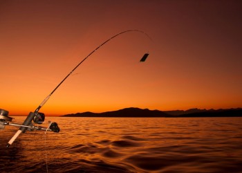 Sunset Fishing